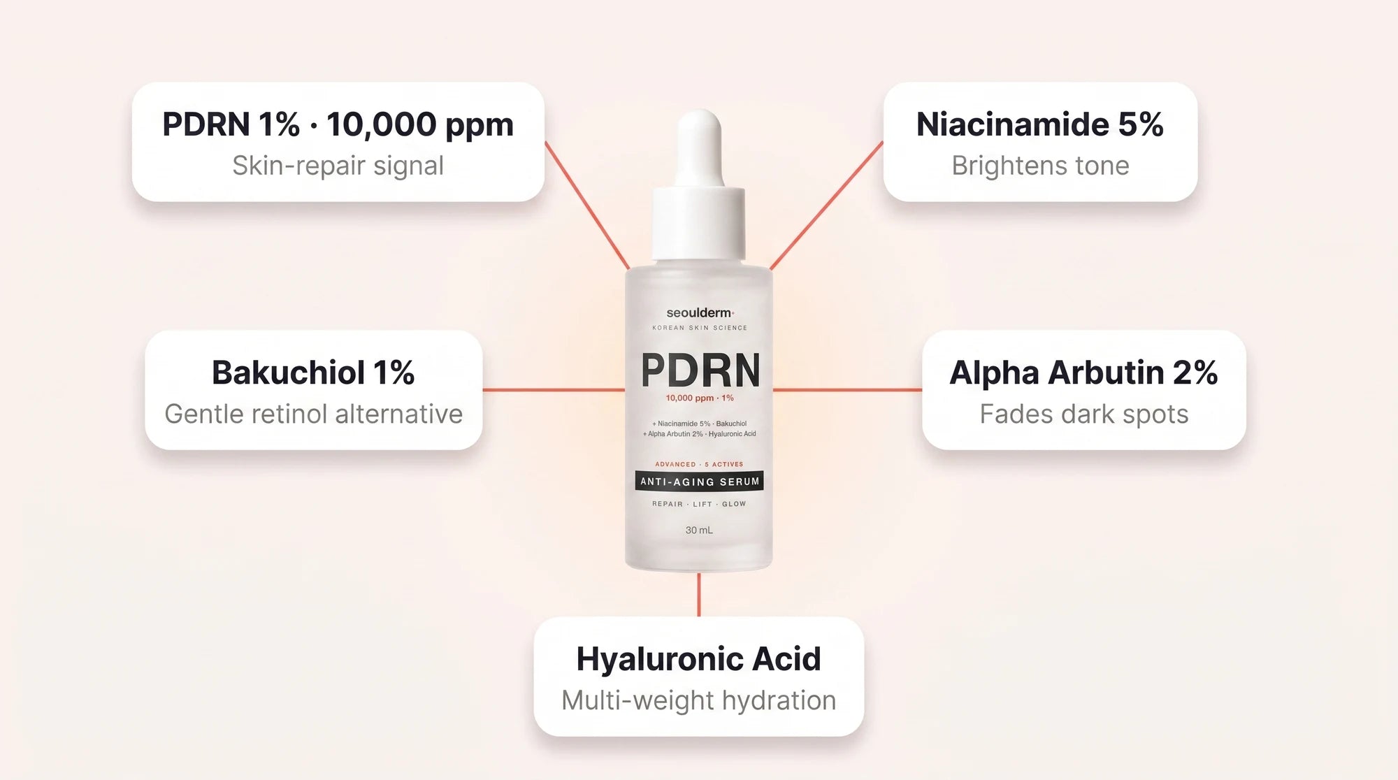 Seoulderm PDRN serum with five active ingredients: PDRN 1% 10,000 ppm skin-recovery hero, Niacinamide 5% brightens tone, Bakuchiol 1% gentle plant-retinol, Alpha Arbutin 2% clearer-looking spots, and Hyaluronic Acid multi-weight hydration
